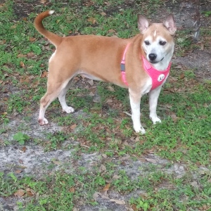 Fundraising Page: Jill Bargeron 